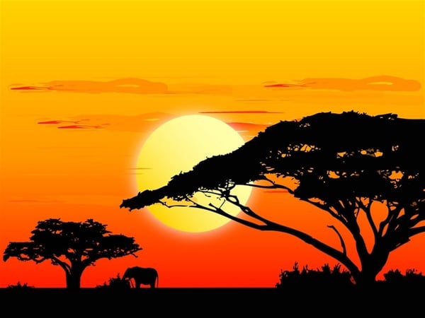 Afrika'da Günbatımı - Kanvas Tablo