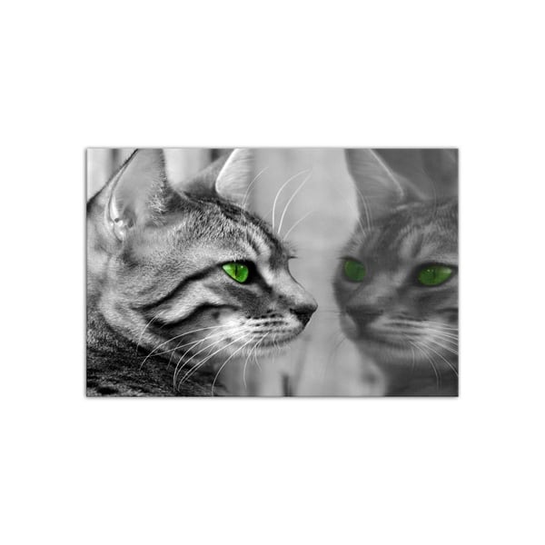 Green Eyed Cat - Büyük Boy Kanvas TabloBüyük Boy Kanvas TablolarTablolife.com