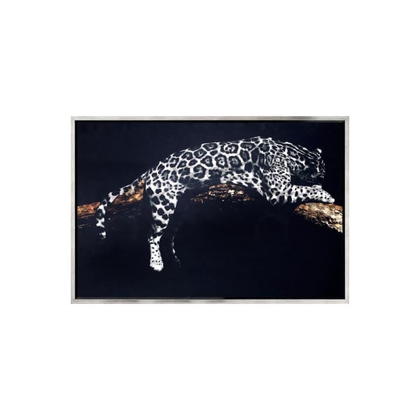 Lying Tiger Cam Baskı TabloTablo / PanoTablolife.com