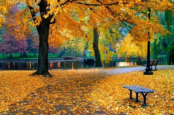 Sonbaharda Park - Kanvas Tablo