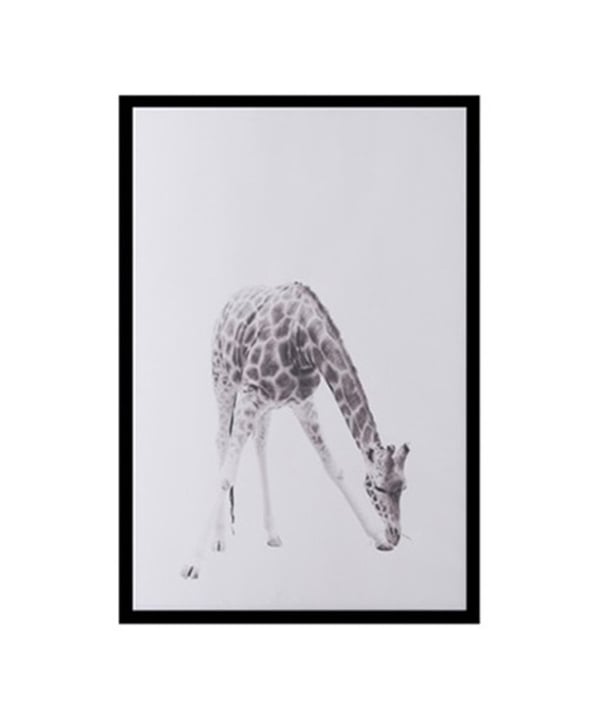 Zürafa Çerçeveli PosterPosterlerTablolife.com
