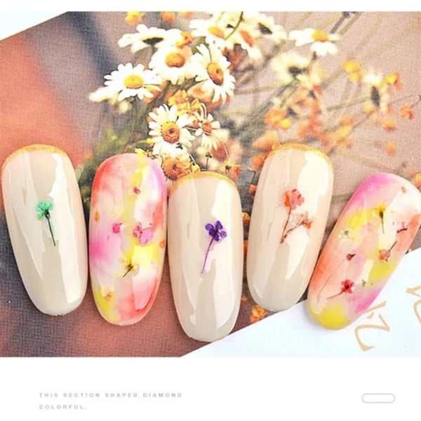 Nail Art kurutulmuş çiçek NG-145