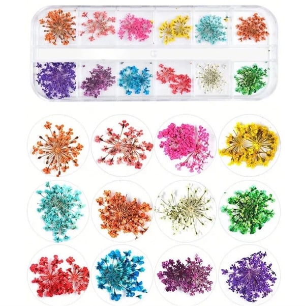 Nail Art kurutulmuş çiçek NG-145