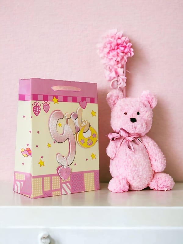 Hoş Geldin Bebek Baby Shower Girl Bebek Karton Hediye Çantası 24x18x8 Cm 