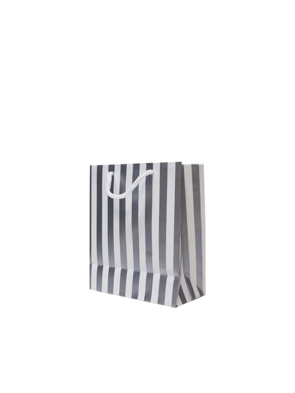 Beyaz Karton Çanta Gümüş Kalın Çizgili İpli Hediye Çantası 12'li 14x17x7 cm