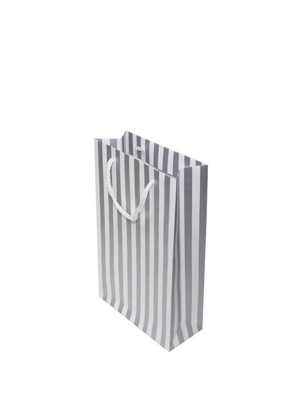 Beyaz Karton Çanta Gümüş Kalın Çizgili İpli Hediye Çantası 12'li 17x27x7 cm