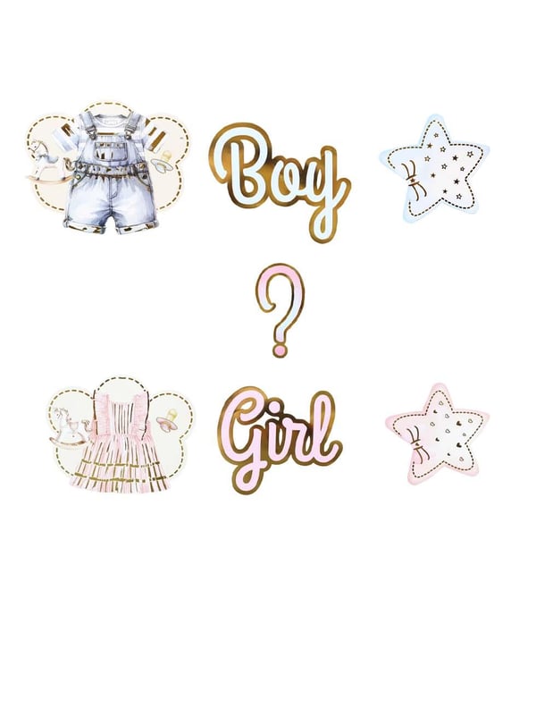 Boy or Girl Cinsiyet Belirleme Partisi Banner Süsü - Cinsiyet Partisi Süsleri | Parti Adresi