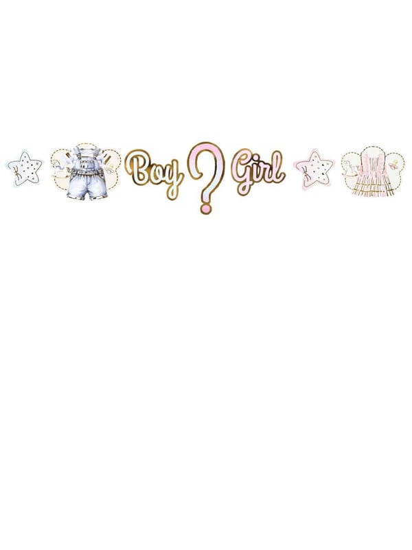 Boy or Girl Cinsiyet Belirleme Partisi Banner Süsü - Cinsiyet Partisi Süsleri | Parti Adresi