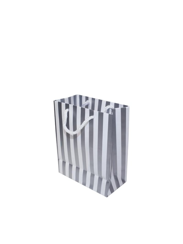 Beyaz Karton Çanta Gümüş Kalın Çizgili İpli Hediye Çantası 12'li 14x17x7 cm