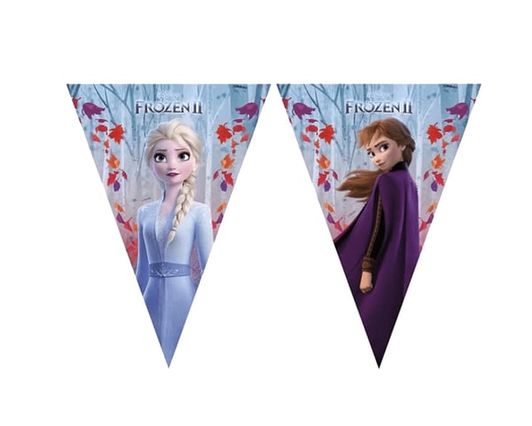 FROZEN BAYRAK
