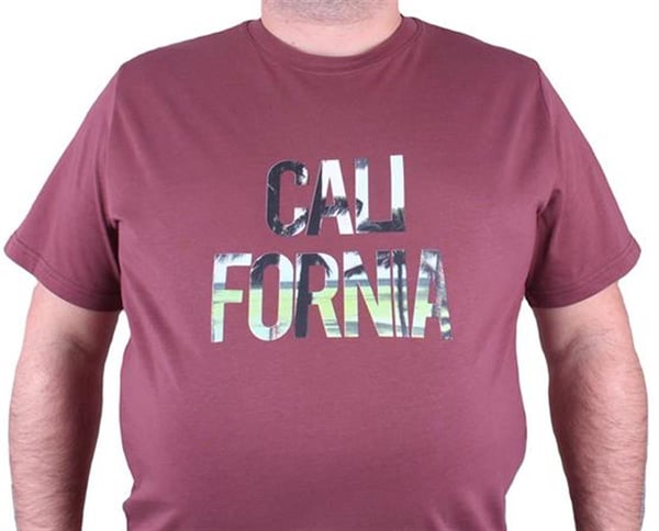 Mocgrande Büyük Beden Erkek Sıfır Yaka Tişört California 23120 Eflatun