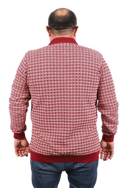 MocGrande Büyük Beden Erkek Sweatshirt Polo Yaka 22714