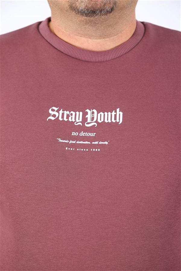 Starbattal Erkek Sweat Stray South 22730 LILA