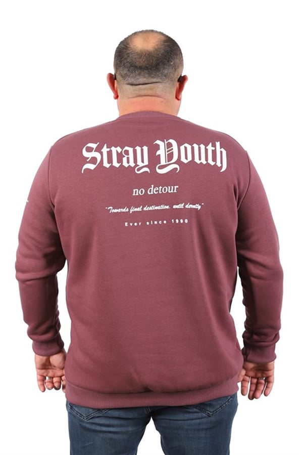 Starbattal Erkek Sweat Stray South 22730 LILA