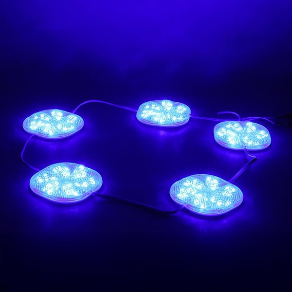Powermaster 12 Volt 3 Watt Mavi Sabit 6565-2835 Modül Led Fiyatı - Merter Elektronik