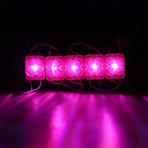 Powermaster PM-14716 12 Volt 2 Watt Pembe Yanıp Sönen Çakar 4333-3030 Modül Led 43x33x28mm Fiyatı - Merter Elektronik