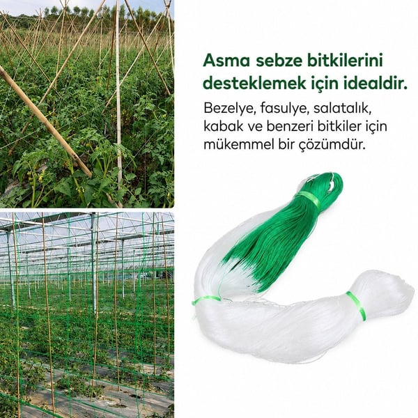 SUNUP SN-38881 BİTKİ TIRMANMA AĞI 3X100M