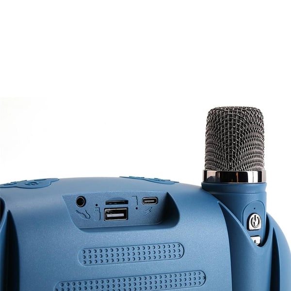 T G TG542DK USB/SD/FM/BLUETOOTH DESTEKLİ TAŞINABİLİR 2 EL MİKROFONLU LED IŞIKLI WIRELESS HOPARLÖR - SPEAKER