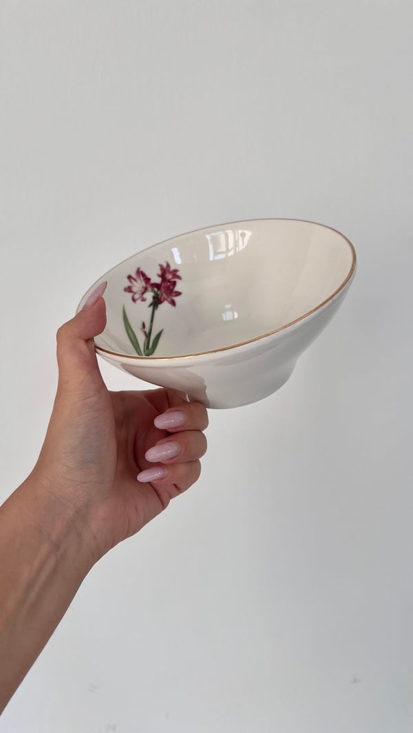 Alina 6'lı Porselen Bowl Çorba Kasesi