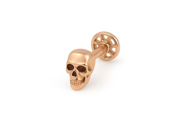 Craneo Tragus