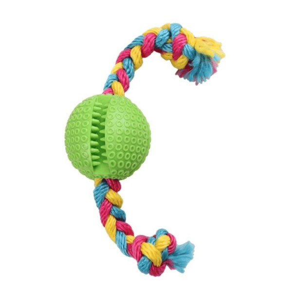 Eastland İpli Plastik Rugby Top Köpek Oyuncağı 6,5cm