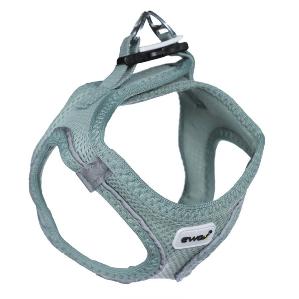 Ewox Air Mesh Su Yeşili Göğüs Tasması M
