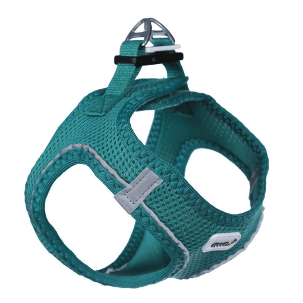 Ewox Air Mesh Yeşil Göğüs Tasması 2XS