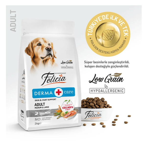 Felicia Kolajenli Somonlu Az Tahıllı M/Large Yetişkin Köpek Maması Breed Hipoalerjenik 3 Kg