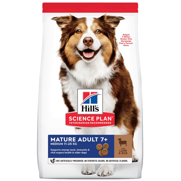 Hill's Science Plan Light 7+ Kuzulu Orta Irk Yaşlı Köpek Maması 12kg+2kg HEDİYE!