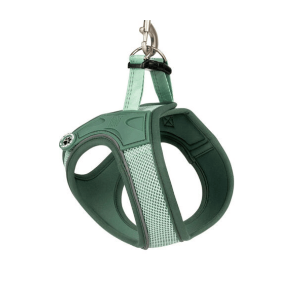 Matrix 2.0 Air Vest Köpek Göğüs Tasması - Jade Small