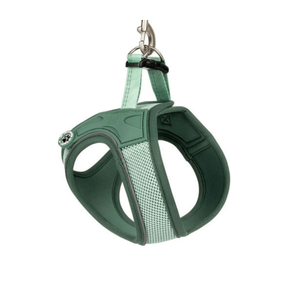 Matrix 2.0 Air Vest Köpek Göğüs Tasması - Jade Xsmall