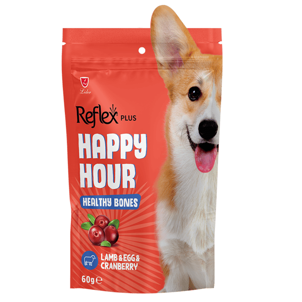 Reflex Plus Happy Hour Sağlıklı Kemikler İçin Destekleyici Köpek Ödül Maması 60gr