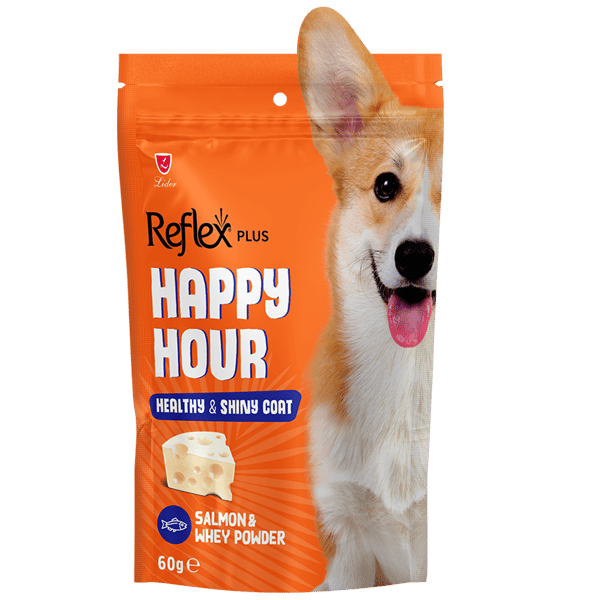 Reflex Plus Happy Hour Sağlıklı ve Parlak Tüyler İçin Destekleyici Köpek Ödül Maması 60gr