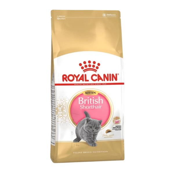 Royal Canin Kitten British Shorthair Yavru Kedi Maması 2kg