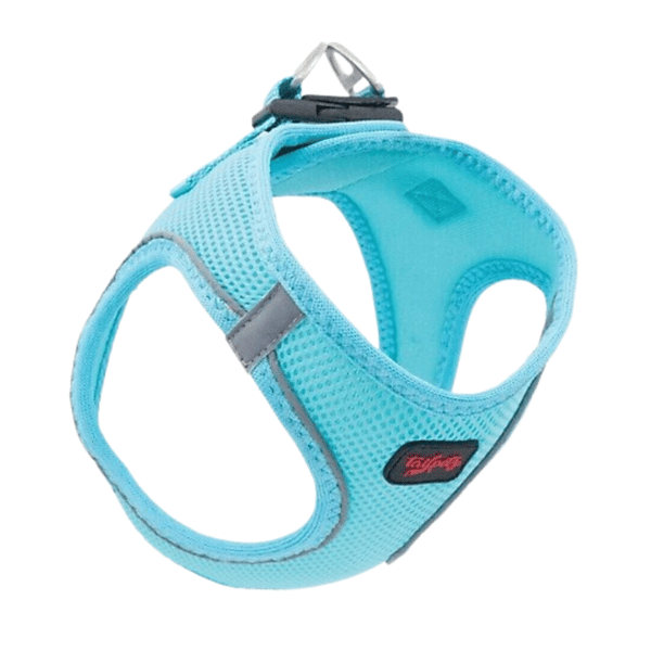 Tailpetz Air-Mesh Harness Köpek Göğüs Tasması Okyanus Mavi Medium