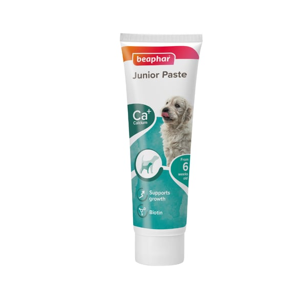 Beaphar Duo Active Junior Yavru Köpek Vitaminli Macun 100gr