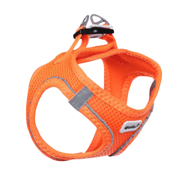 Ewox Air Mesh Turuncu Göğüs Tasması 2XS