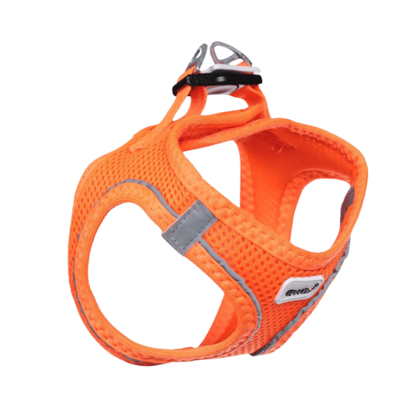 Ewox Air Mesh Turuncu Göğüs Tasması 3XS