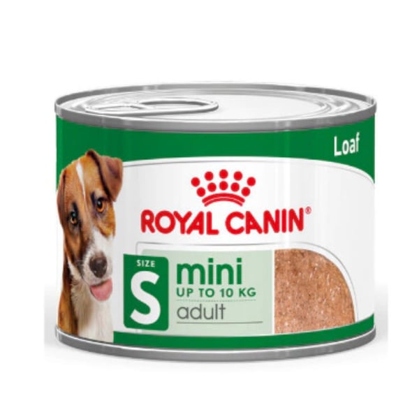 Royal Canin Loaf Mousse Küçük Irk Ezme Yetişkin Köpek Konservesi 12x195gr