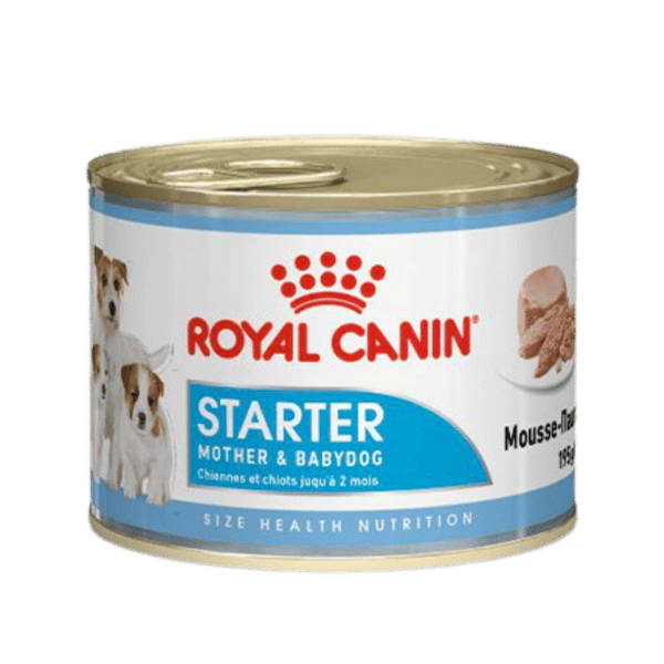 Royal Canin Starter Anne ve Yavru Köpek Konservesi 195gr