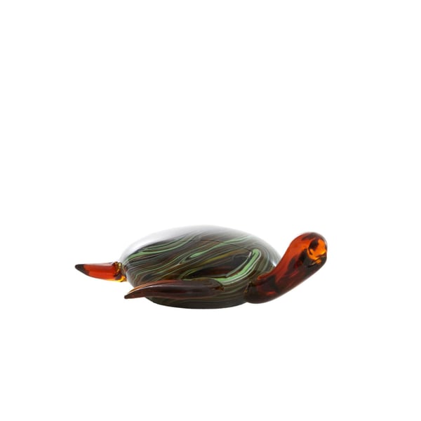 Turtle Glass