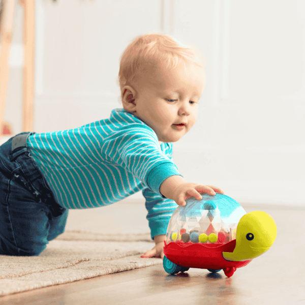 B.Toys Yürüyen Kaplumbağa