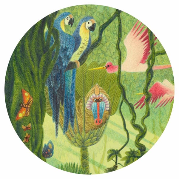 Djeco Dekoratif Puzzle - In the Jungle