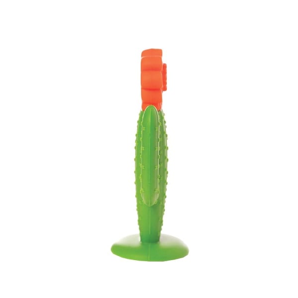 Manhattan Toy Diş Kaşıyıcı - Kaktüs