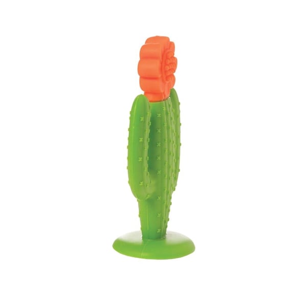 Manhattan Toy Diş Kaşıyıcı - Kaktüs