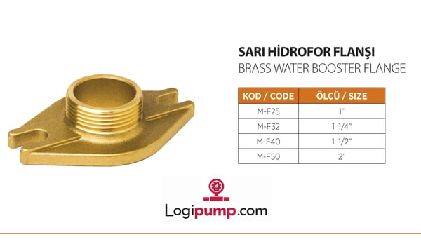 pompa-1-oval-hidrofor-flansi-pirinc-sa-5c0-ab.jpg