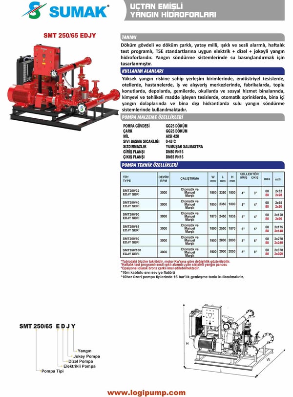 pompa-sumak-smt250100-dy-elektrik-dize-5a52ed.jpg
