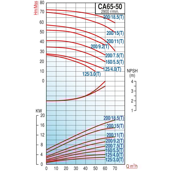 VARAN-pompa-CA 65-50-125/3.0T-Monoblok Flanşlı