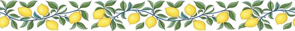 Bordür Rub On Transfer Ütü İle Baskı 150 cm RK 147