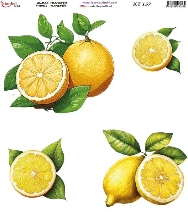 Kumaş Transfer Ütü İle Baskı 20 x 20 cm KT 157
